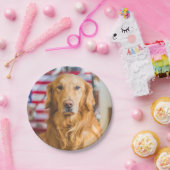 Assiettes En Carton Portrait de chien de golden retriever (Fête)