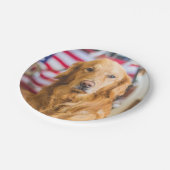 Assiettes En Carton Portrait de chien de golden retriever (Angle)