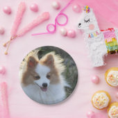 Assiettes En Carton Portrait de Chien Spitz Cute Pomeranian (Fête)