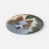 Assiettes En Carton Portrait de Chien Spitz Cute Pomeranian (Angle)