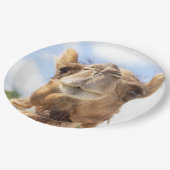 Assiettes En Carton Portrait d'un chameau (Angle)