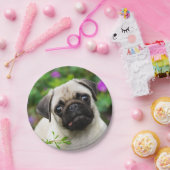 Assiettes En Carton Portrait mignon de chiot de carlin de faon, partie (Fête)