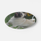 Assiettes En Carton Pose du carlin (Angle)