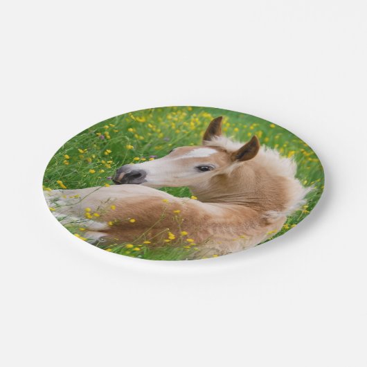 Assiettes En Carton Poulain mignon de cheval de Haflinger en partie (Angle)