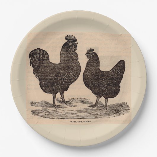 Assiettes En Carton Poule et coq du 19ème siècle de Plymouth Rock (Devant)