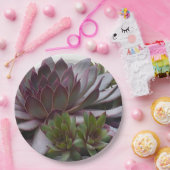 Assiettes En Carton Poules et poules (Fête)