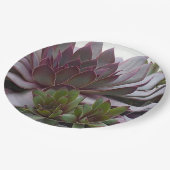 Assiettes En Carton Poules et poules (Angle)