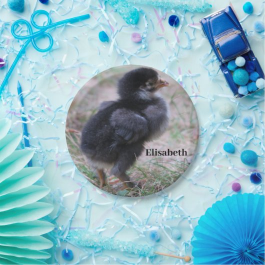 Assiettes En Carton poulet, poussins, poulets, poussins, animal, oisea (Fête)