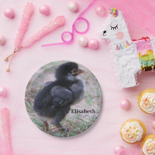 Assiettes En Carton poulet, poussins, poulets, poussins, animal, oisea (Fête)