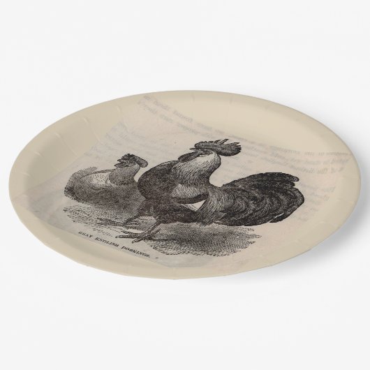 Assiettes En Carton Poulets anglais gris de dorkings d'impression du (Angle)