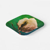 Assiettes En Carton Poupée de coton (Angulaire)