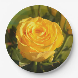 Assiettes En Carton Prenez le temps de sentir la rose jaune