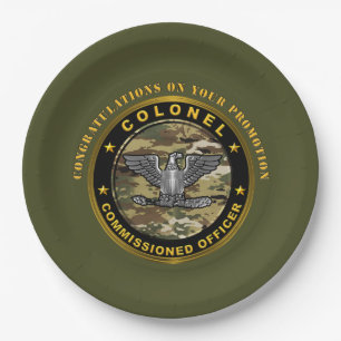 Assiettes En Carton Promotion COLONEL