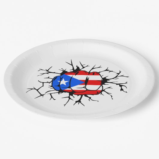 Assiettes En Carton Puerto Rico Flag (Angle)