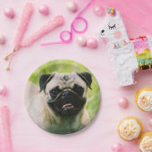 Assiettes En Carton pug-13 (Fête)