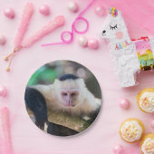 Assiettes En Carton Pura vida pour singe capucin à visage blanc (Fête)
