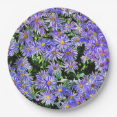 Assiettes En Carton Purple Daisies Galore (Devant)