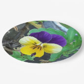 Assiettes En Carton Purple et Yellow Pany (Angle)