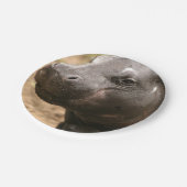 Assiettes En Carton pygmy-hippo-1 (Angle)