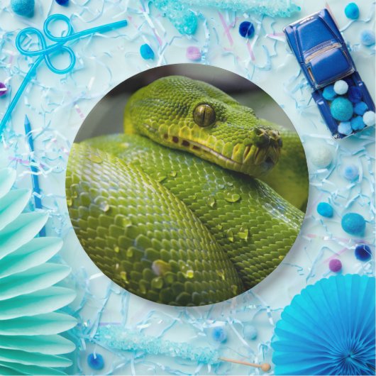Assiettes En Carton Python (Fête)