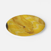 Assiettes En Carton Python birman jaune (Angle)