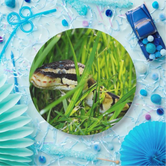 Assiettes En Carton python de boule dans grass.png (Fête)