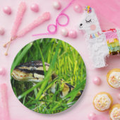 Assiettes En Carton python de boule dans grass.png (Fête)