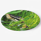 Assiettes En Carton python de boule dans grass.png (Angle)