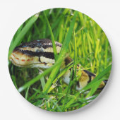 Assiettes En Carton python de boule dans grass.png (Devant)