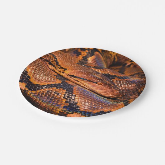 Assiettes En Carton Python Snake (Angle)