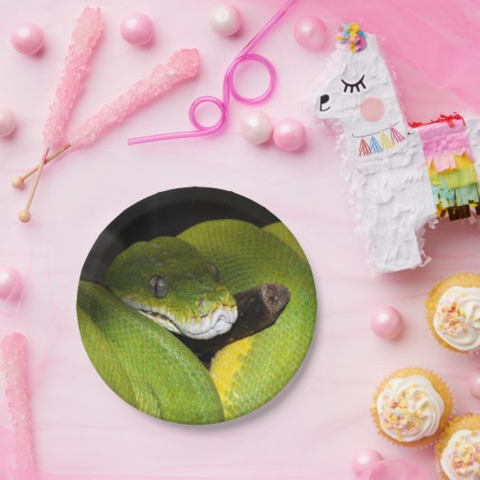 Assiettes En Carton Python vert d'arbre (Fête)
