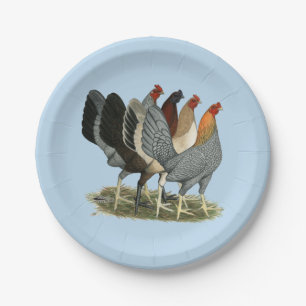 Assiettes En Carton Quatre poules de combat