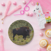 Assiettes En Carton Qui vous regardant (Fête)