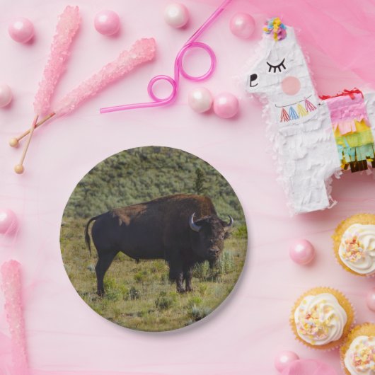 Assiettes En Carton Qui vous regardant (Fête)