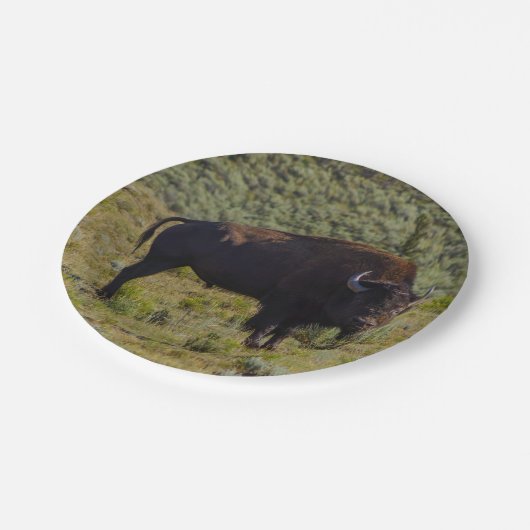 Assiettes En Carton Qui vous regardant (Angle)