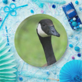 Assiettes En Carton Quoi ? (Fête)