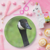 Assiettes En Carton Quoi ? (Fête)