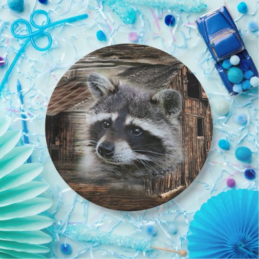 Assiettes En Carton Raccoon À L'Ancienne Grange (Fête)