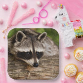 Assiettes En Carton Raccoon mignon reposant sur un journal (Fête)