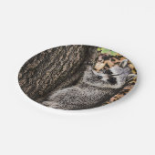 Assiettes En Carton Raccoon sauvage (Angle)