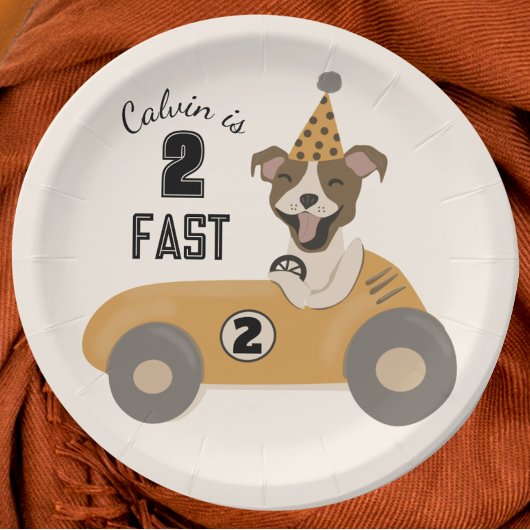 Assiettes En Carton Race Car Chien Boys Deux Fête D'Anniversaire Rapid