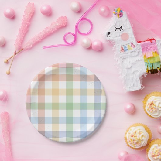 Assiettes En Carton Rainbow plaid mignon pastel simple en vichy (Fête)