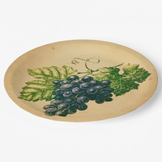 Assiettes En Carton Raisin (Angle)