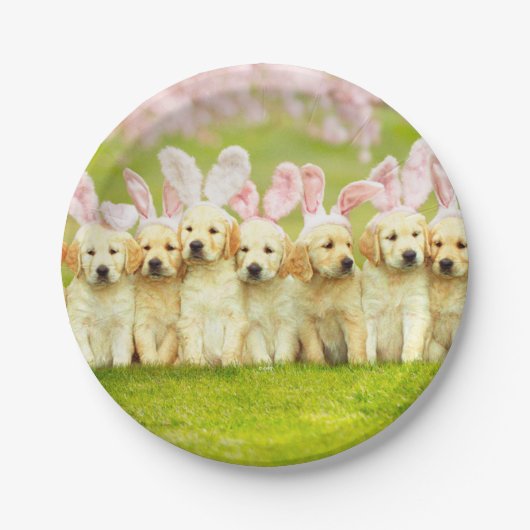 Assiettes En Carton Rangée de lapins chiots (Devant)