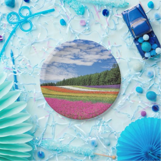 Assiettes En Carton Rangées de fleurs de champ d'été (Fête)