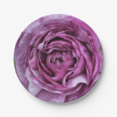 Assiettes En Carton Ranunculus pourpre (Devant)