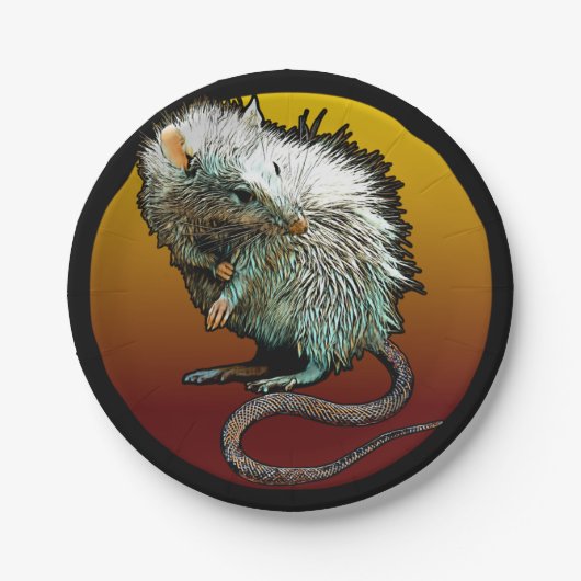 Assiettes En Carton Rat Boi (Devant)