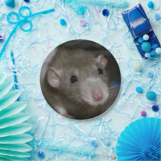 Assiettes En Carton Rat curieux (Fête)