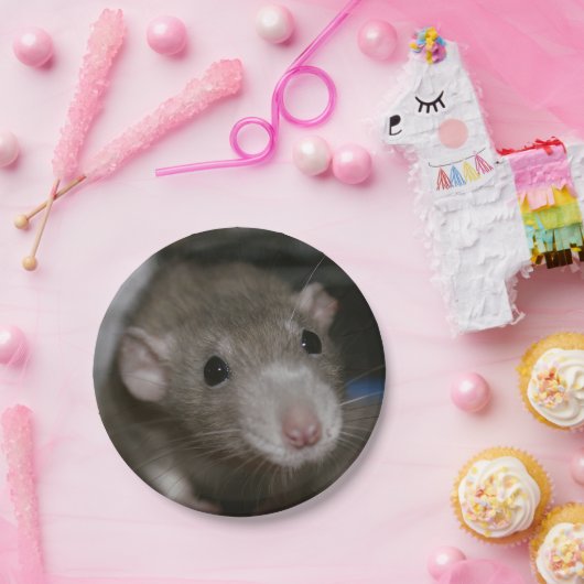 Assiettes En Carton Rat curieux (Fête)