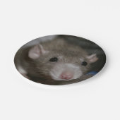 Assiettes En Carton Rat curieux (Angle)